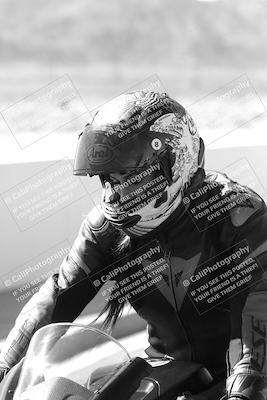 media/Mar-08-2025-TrackXperience (Sat) [[277b597a28]]/1-Around the Pits - Pre Grid/